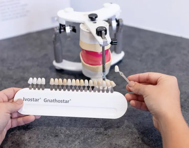 At the denture clinic, a person holds a shade guide alongside a dental model to match false teeth.
