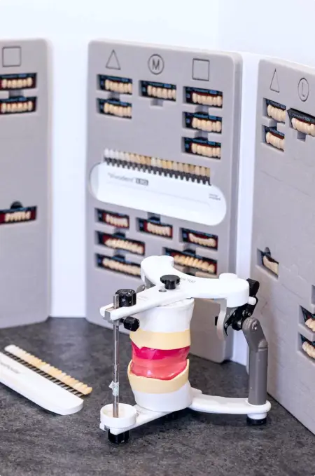 A dental shade guide is displayed alongside a mounted dental model, perfect for selecting the right match for false teeth or quality Gold Coast dentures.