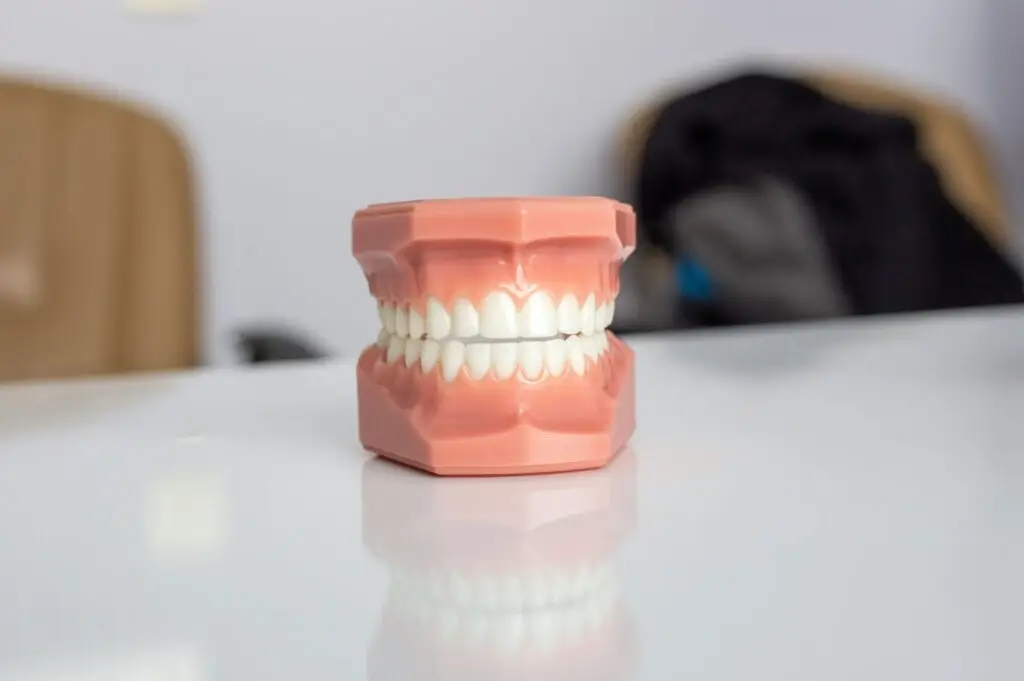 a picture of a model of a complete denture