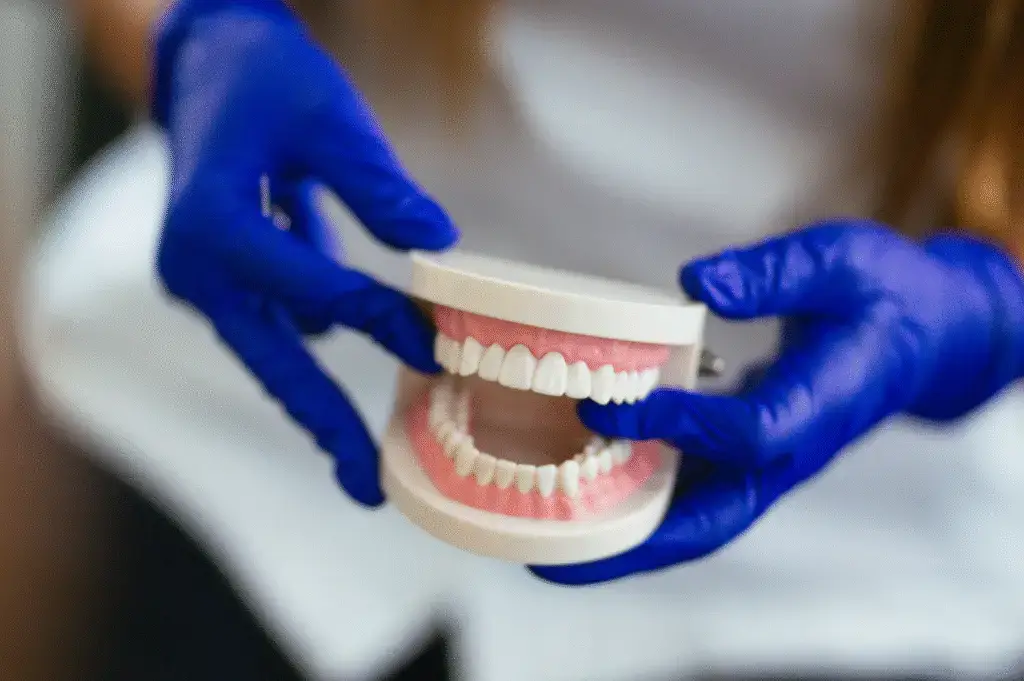 Hands in blue gloves holding a dental model illustrating partial vs complete dentures.
