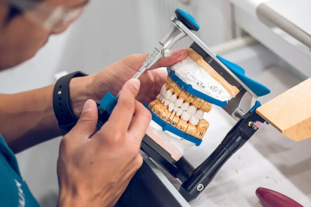 Person working on a dental model with articulated jaws and partial dentures.