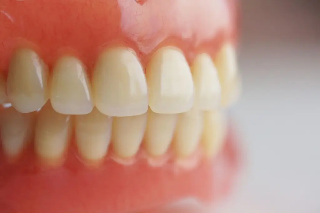 Close-up view of artificial teeth in a set of dentures for denture colour selection.