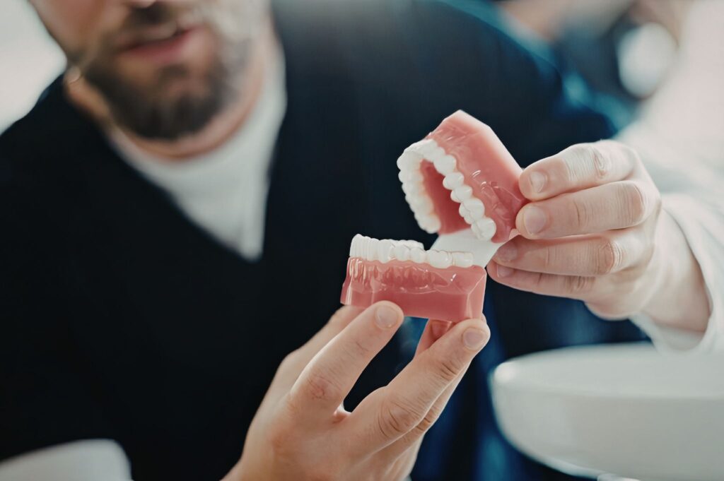 Person displaying a dental model—learn the signs to watch for when denture repairs are needed.